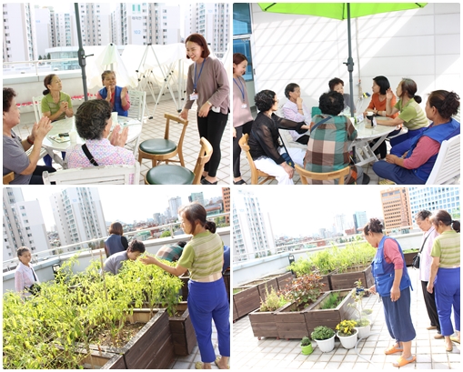 소소한 이야기 소담 텃밭동아리 7차 활동이 진행